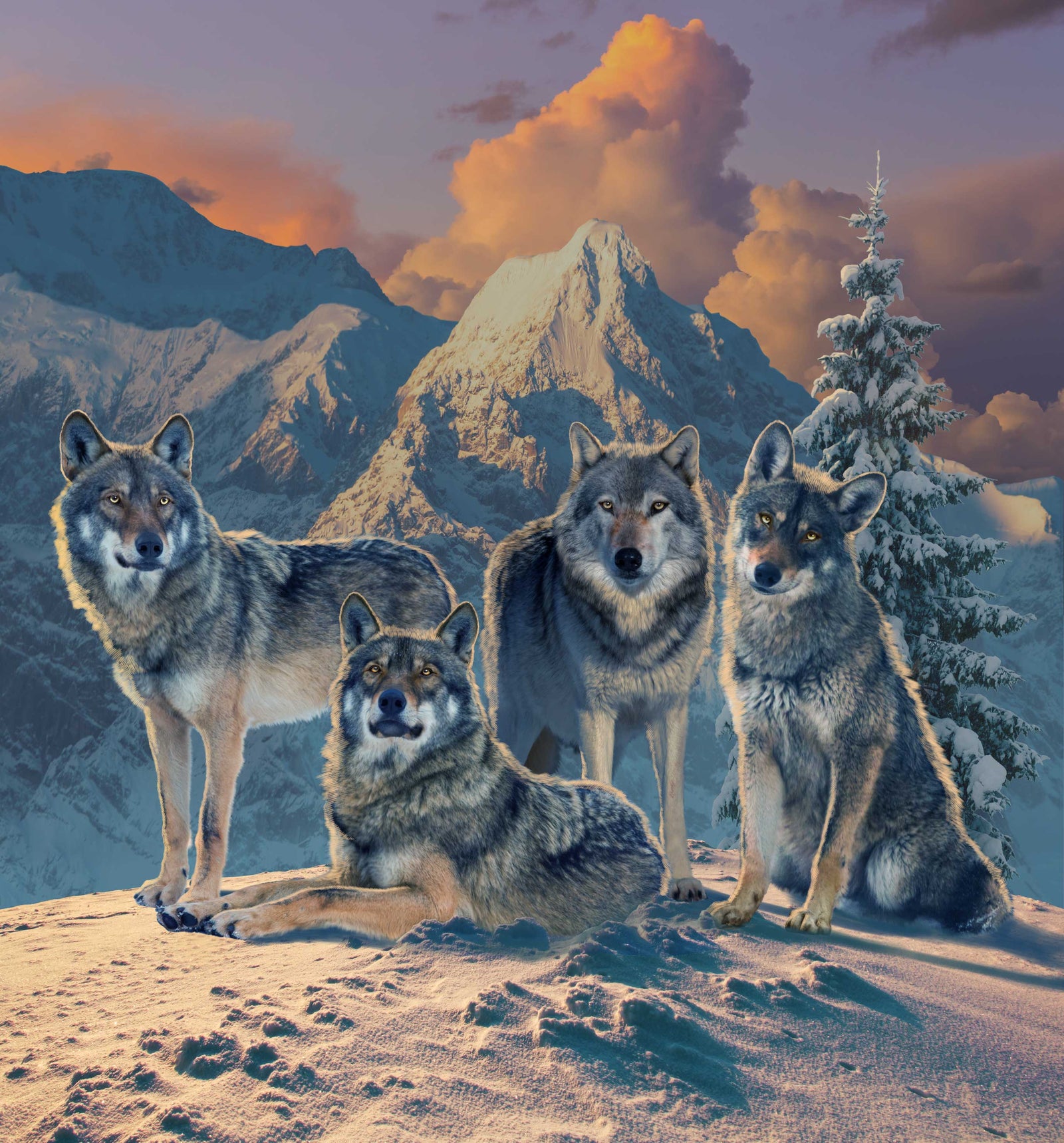 WOLF PACK by VINCENT HIE, digitally printed on DENIM products: throw pillows, aprons, table place mats, and hand-made Unisex Denim Jackets in 3 color choices