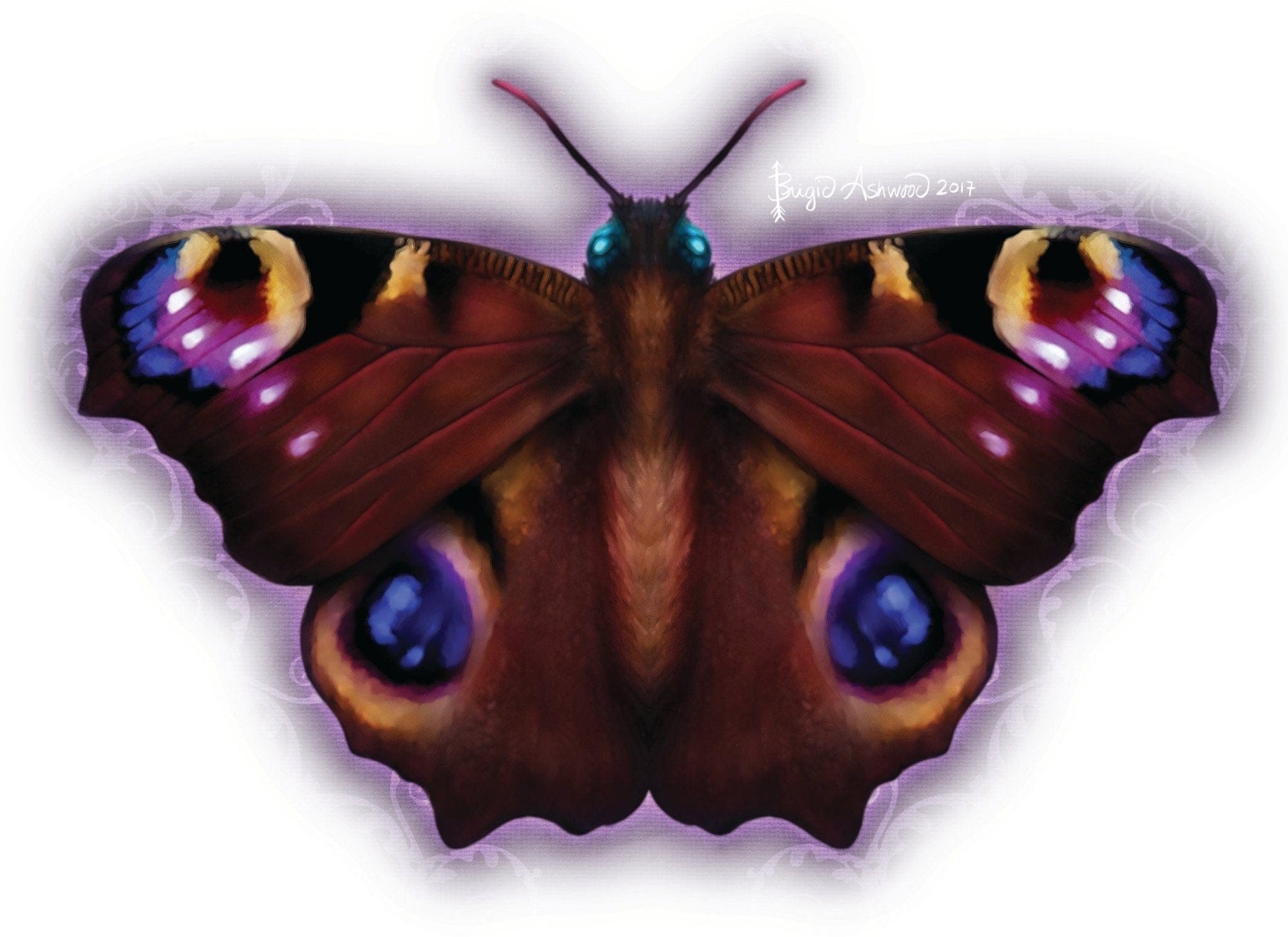 illustration of a richly colored butterfly with deep burgundy wings, vibrant purple and blue eyespots, and gold accents along the upper edges. the artwork has a soft glowing outline and is titled “Ashwood Damask Butterfly,” created by artist Brigid Ashwood