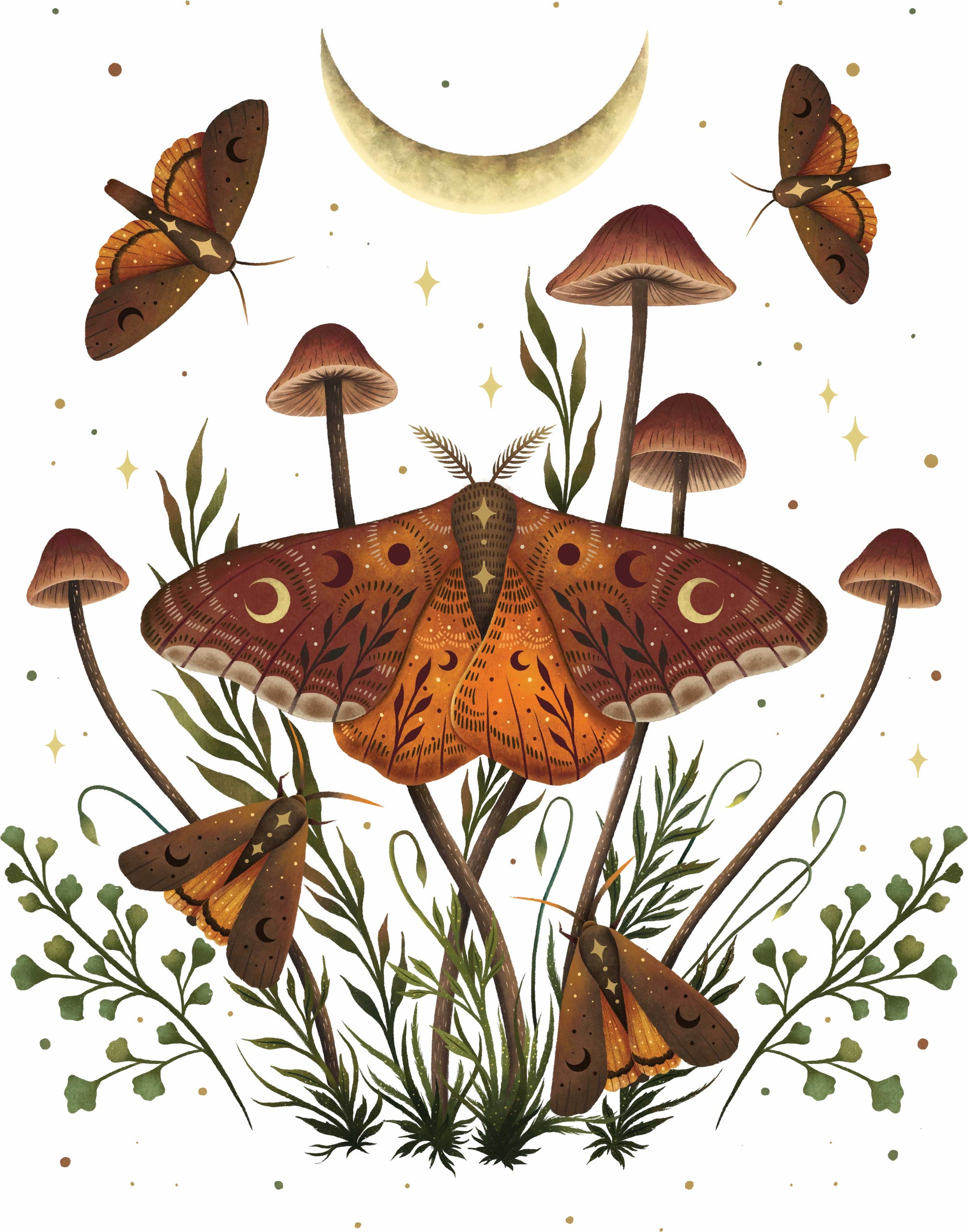 AUTUMN LIGHT UNDERWINGS by EPISODIC DRAWING, digitally printed on DENIM products: throw pillows, aprons, table place mats, and hand-made Unisex Denim Jackets in 3 color choices