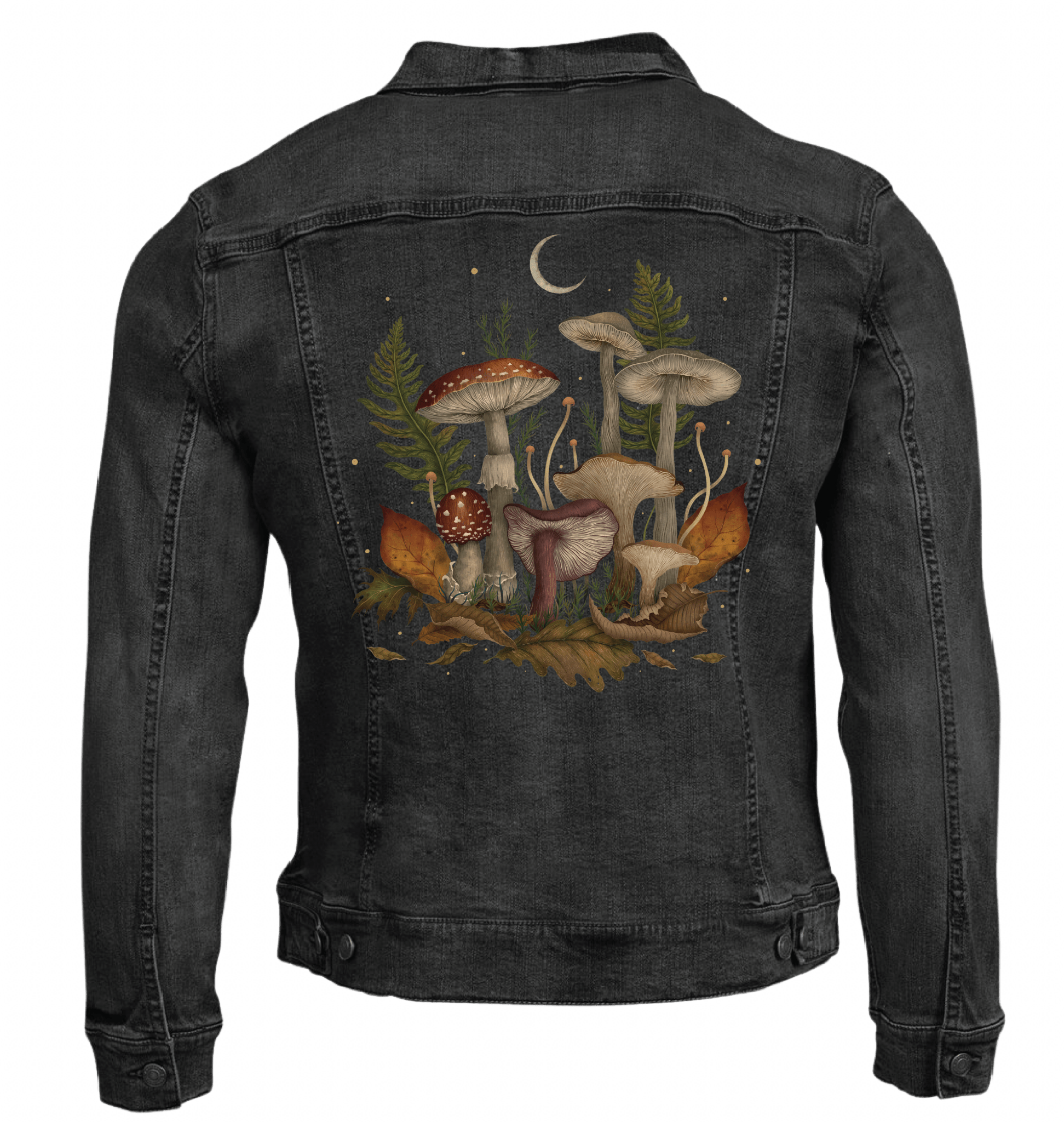 AUTUMN MUSHROOMS by EPISODIC DRAWING