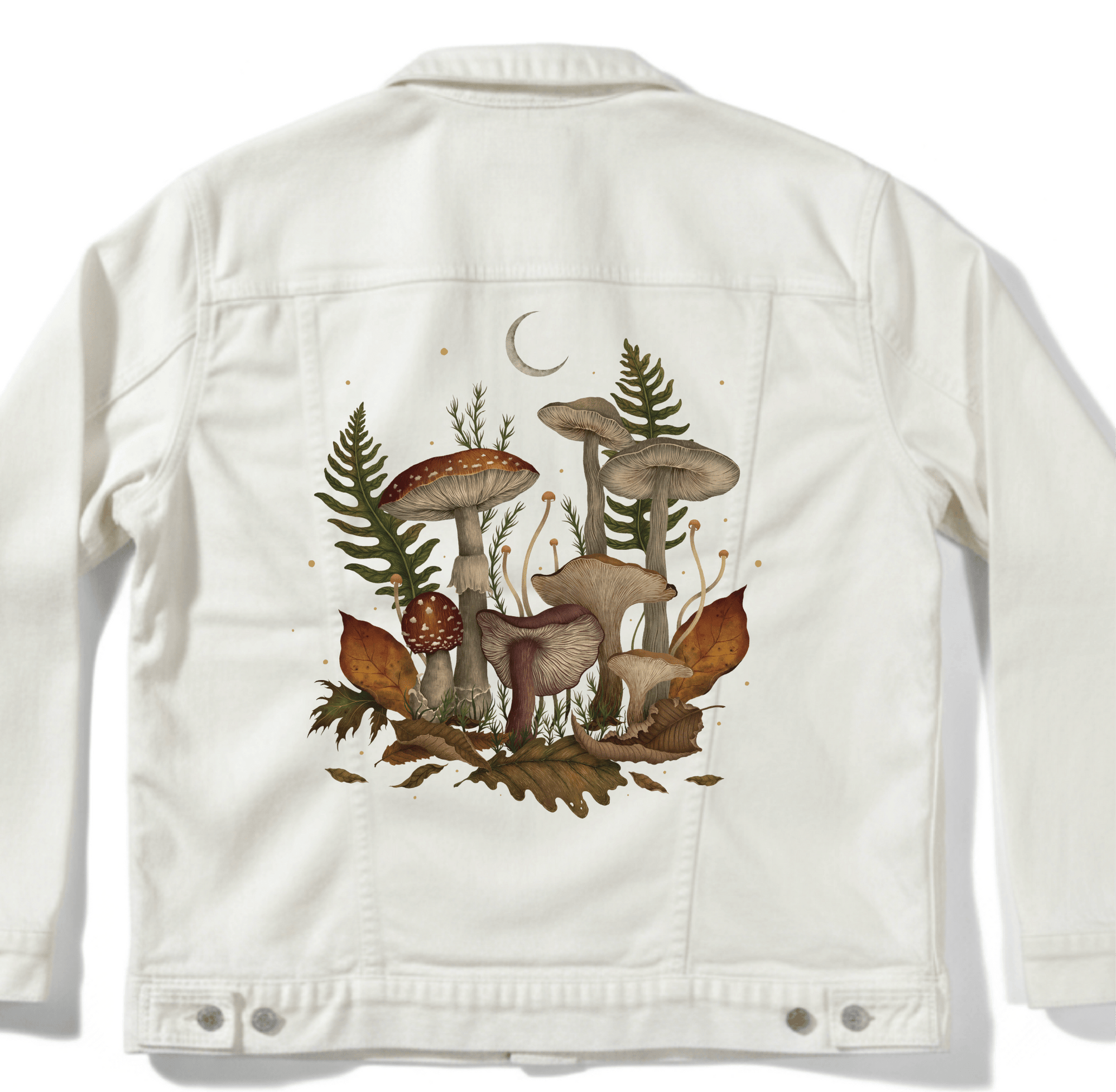 AUTUMN MUSHROOMS by EPISODIC DRAWING