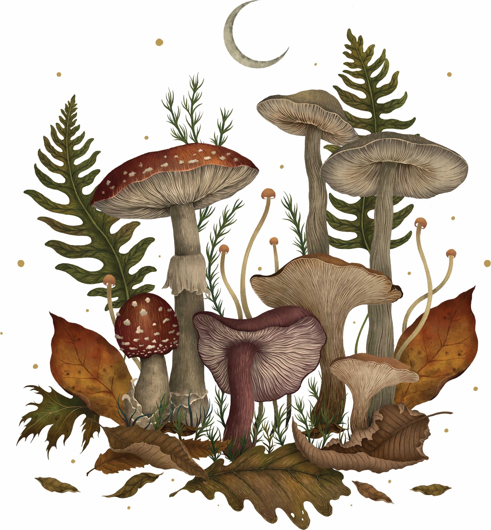 AUTUMN MUSHROOMS by EPISODIC DRAWING, digitally printed on DENIM products: throw pillows, aprons, table place mats, and hand-made Unisex Denim Jackets in 3 color choices
