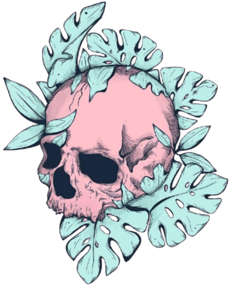 BOTANICAL SKULL by JESS ADAMS