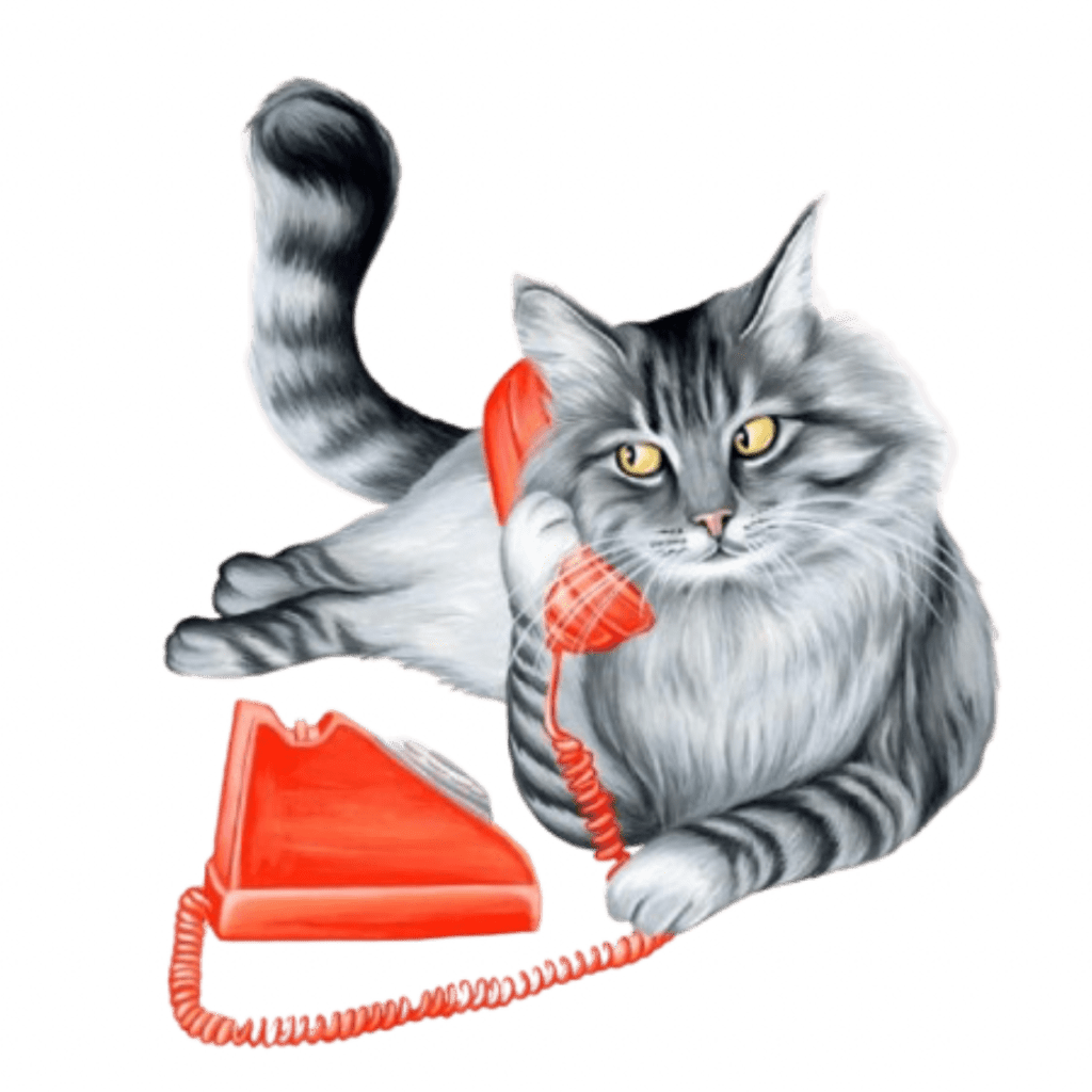 illustration of a fluffy gray long-haired cat reclining with its tail curled upward, holding a bright red vintage telephone receiver to its ear. the cat’s fur is rendered in layered charcoal and silver tones with fine whisker lines and golden-yellow eyes gazing forward. a matching red phone base and coiled cord rest below. this artwork is titled “Cat on the Phone” and created by Amélie Legault 