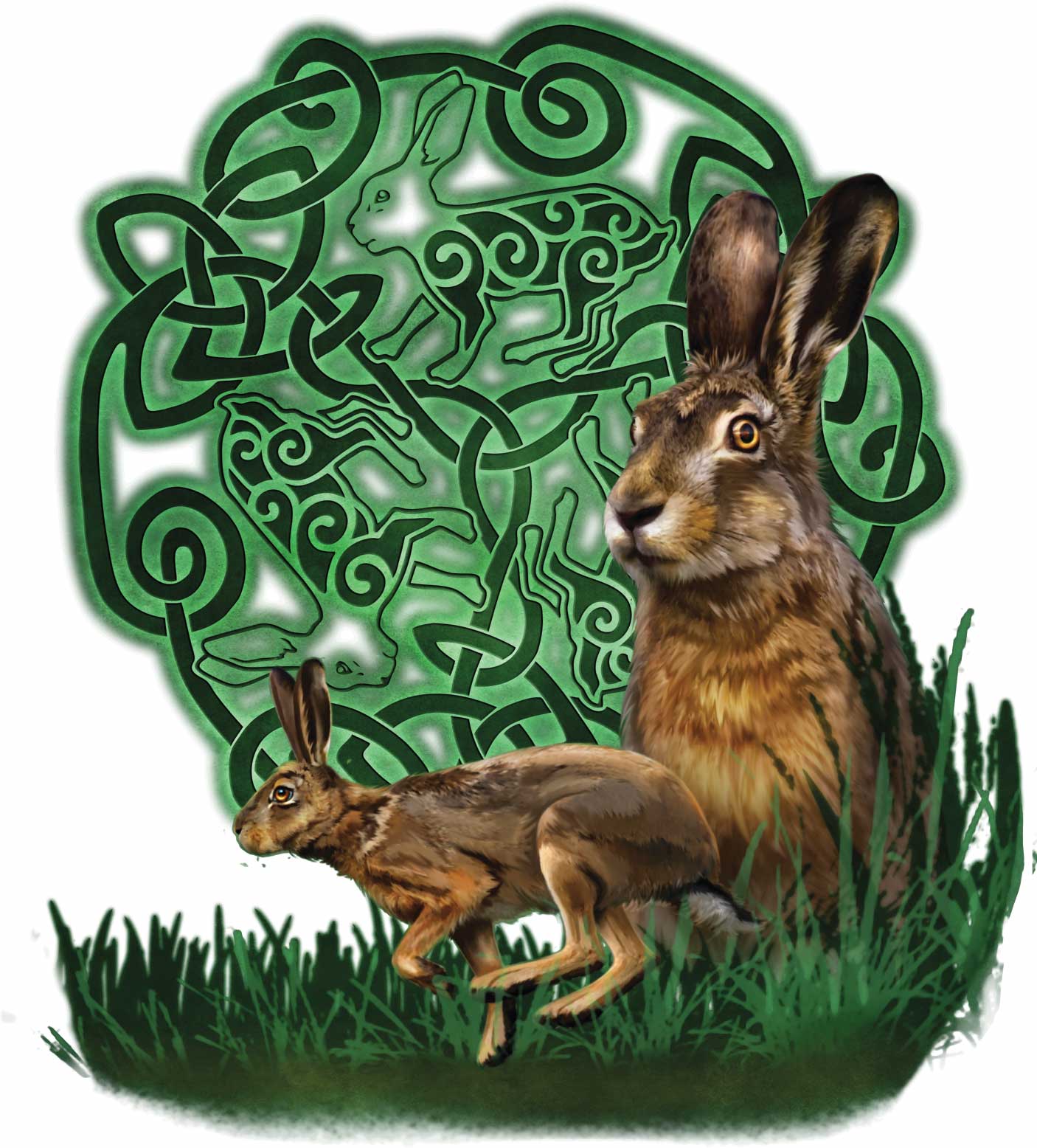 illustration of two realistic hares in tall green grass, positioned before a circular green Celtic knotwork mandala that incorporates stylized hare figures within the interwoven pattern. detailed fur textures and layered knot motifs frame the composition. this artwork is titled “Celtic Hare” and created by artist Brigid Ashwood