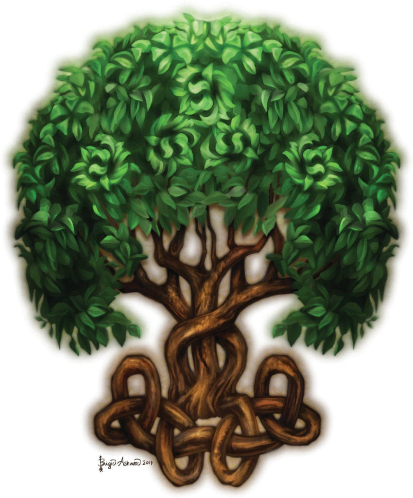 illustration of a lush green Celtic Tree of Life formed as a living tree within a circular braided border. a full, rounded canopy of layered leaves painted in varied green tones forms subtle spiral and circular motifs above a twisting brown trunk. below, thick roots extend outward and interlace into continuous over-and-under Celtic knotwork. stylized leaf shapes and flowing Celtic patterns are woven throughout the branches and roots on a clean white background. this artwork is titled “Celtic Tree of Life” 