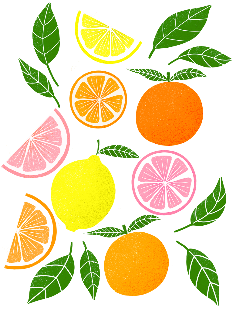 CITRUS BLOOM by HEND SHEHATA,printed by DenimINK on hand-crafted Denim Jackets and other denim products and other denim products: tote bags, throw pillows, table place mats, aprons