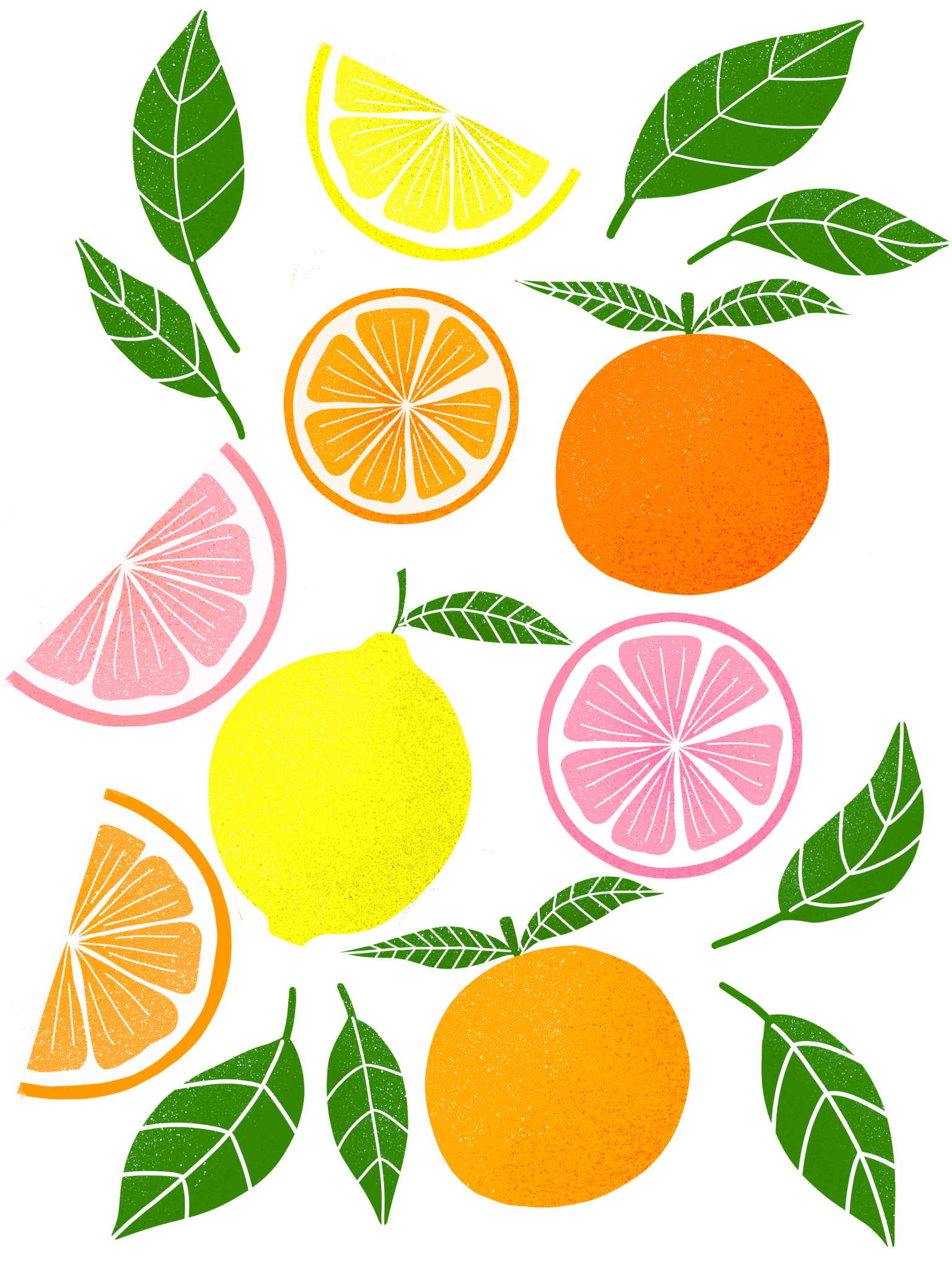 CITRUS BLOOM by HEND SHEHATA,printed by DenimINK on hand-crafted Denim Jackets and other denim products and other denim products: tote bags, throw pillows, table place mats, aprons