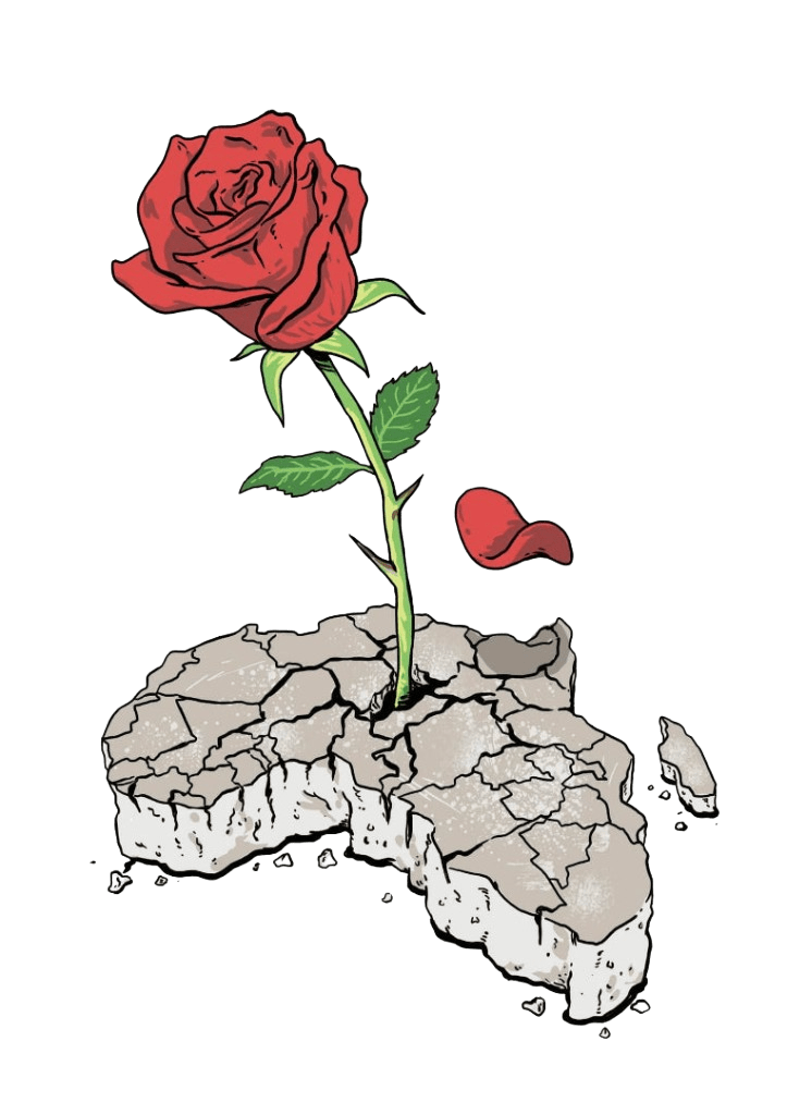 CONCRETE ROSE by THE NYGERIANS