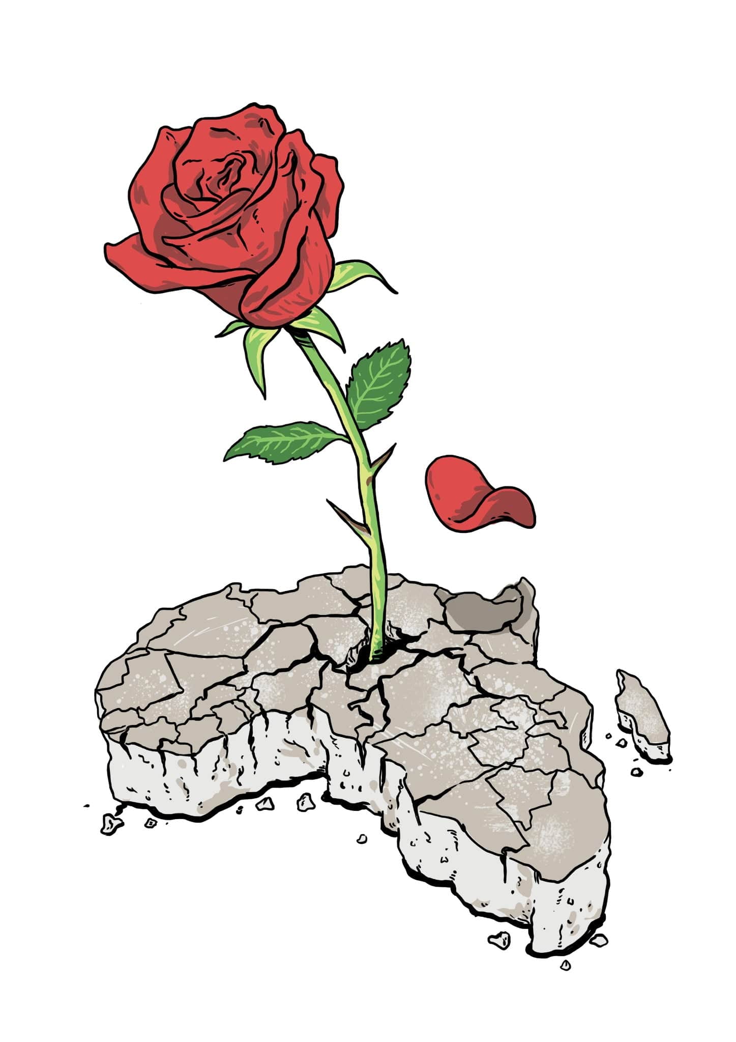 CONCRETE ROSE, by THE NYGERIANS, printed on denim jackets and other denim products: tote bags, throw pillows, table place mats, aprons