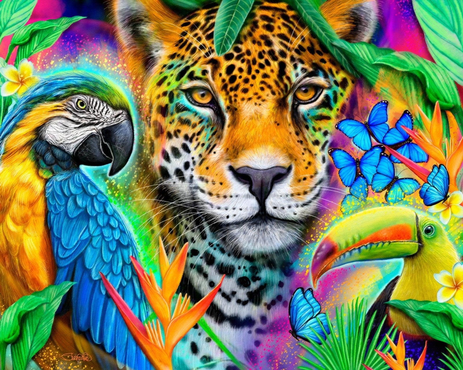 FACES OF NATURE by SHEENA PIKE, printed on denim jackets and other denim products: tote bags, throw pillows, table place mats, aprons