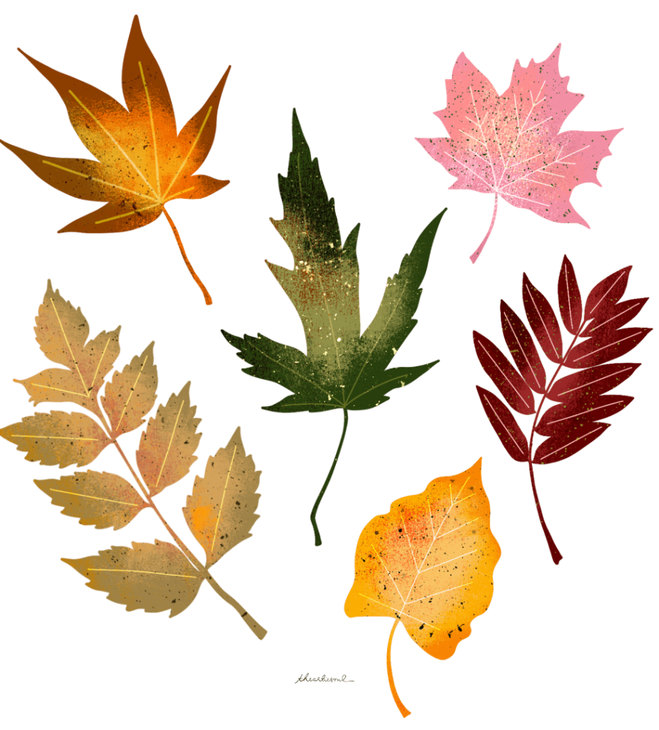 Seven autumn leaves arranged across open space, each leaf differing in shape, size, and color. the leaves include warm tones of golden yellow, burnt orange, olive green, deep red, muted brown, and soft pink, with visible veins, stems, and speckled grain texture. Some leaves have lobed edges while others are elongated or rounded, and all appear individually separated against a transparent background with no visible ground or color field. This artwork is titled “Fall Leaves” and created by thearticsoul