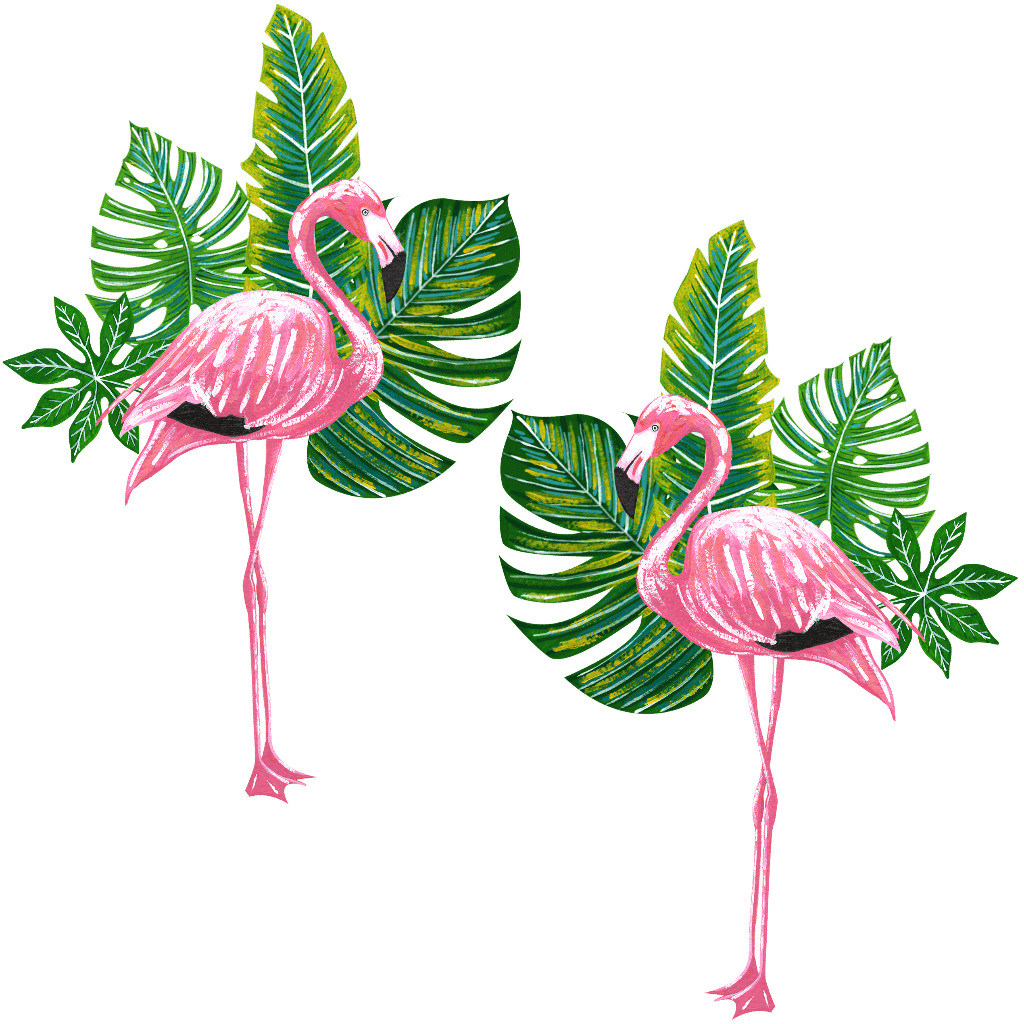 illustration of Two pink flamingos standing upright on long slender legs against a transparent background, each flamingo facing inward toward the center. Their bodies are painted in layered pink watercolor strokes with visible texture, curved necks, and pale beaks tipped in black. Behind each flamingo is a cluster of overlapping tropical leaves in deep green, teal, and yellow-green tones, including large split monstera and elongated palm leaves with white vein details. Titled “Flamingo 2” by Hend Shehata