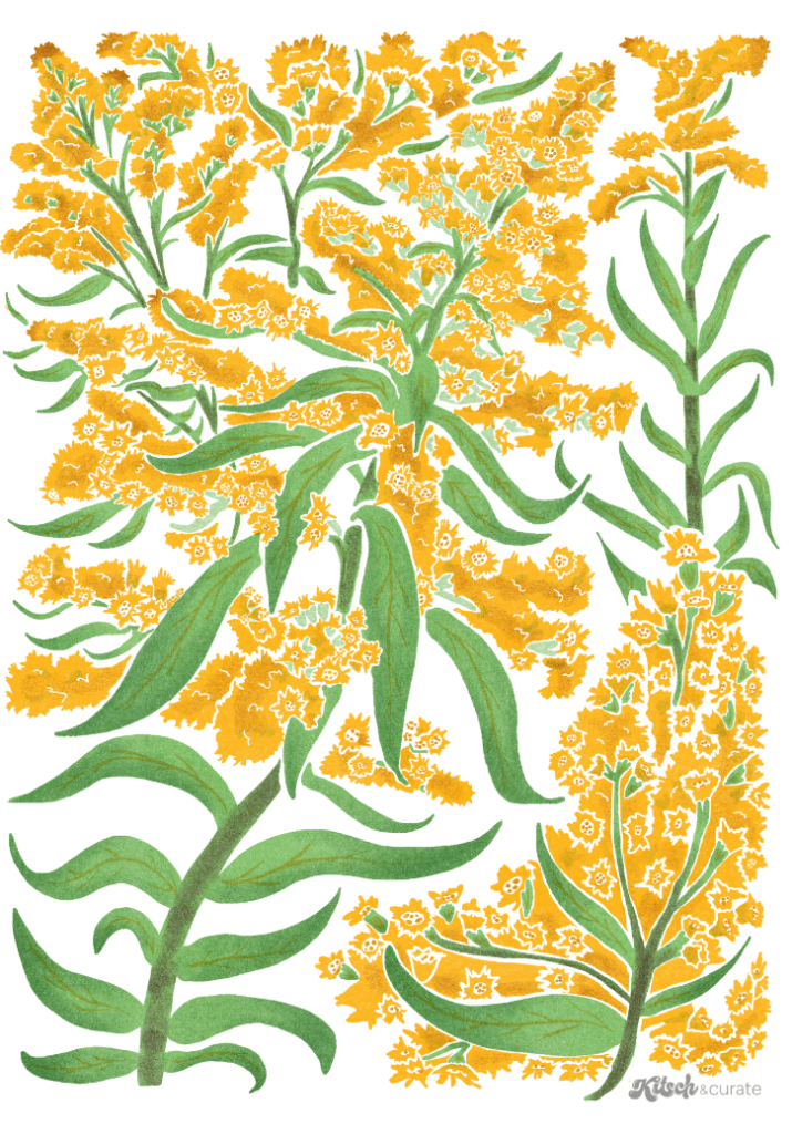 GOLDENROD by KITSCH AND CURATE, printed on denim jackets and other denim products: tote bags, throw pillows, table place mats, aprons