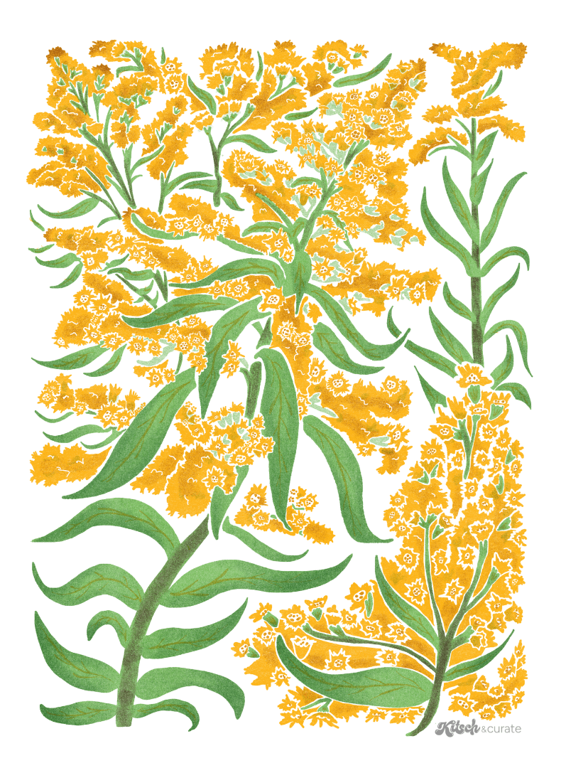 GOLDENROD by KITSCH AND CURATE, printed on denim jackets and other denim products: tote bags, throw pillows, table place mats, aprons