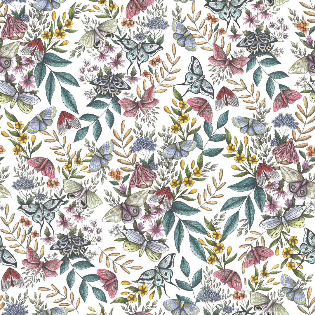 illustration of a dense nighttime garden filled with hand-drawn moths, delicate wildflowers, curling leaves & berries in soft, shadowy hues. the moths—drawn with papery wings—flutter across a dark background in dusty pinks, sage, pale cream, and lavender. between them, clusters of tiny blossoms, golden berries, and slender branches fill every inch of space, like overgrown foliage lit by moonlight. this artwork is titled “Midnight Garden” and created by Cecilia Battaini, printed on denim products by DenimINK