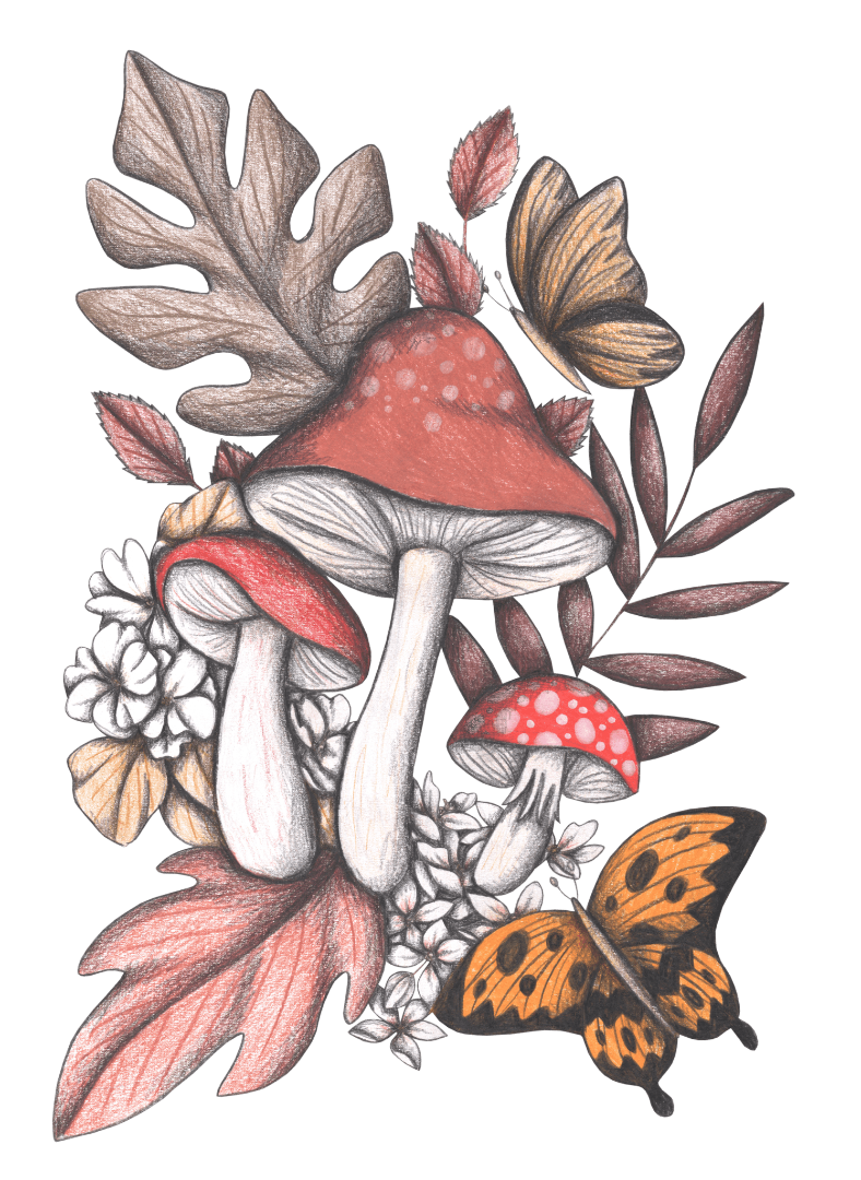 illustration of a woodland cluster featuring red-capped mushrooms with white speckles, surrounded by fallen leaves, white blossoms, & a golden butterfly in flight. soft pencil shading and muted colors—burnt orange, creamy beige, dusty pink & ochre—give the design a delicate, storybook quality. this artwork is titled “Mushroom Magic 2” and created by Cecilia Battaini, printed on denim products by DenimINK.