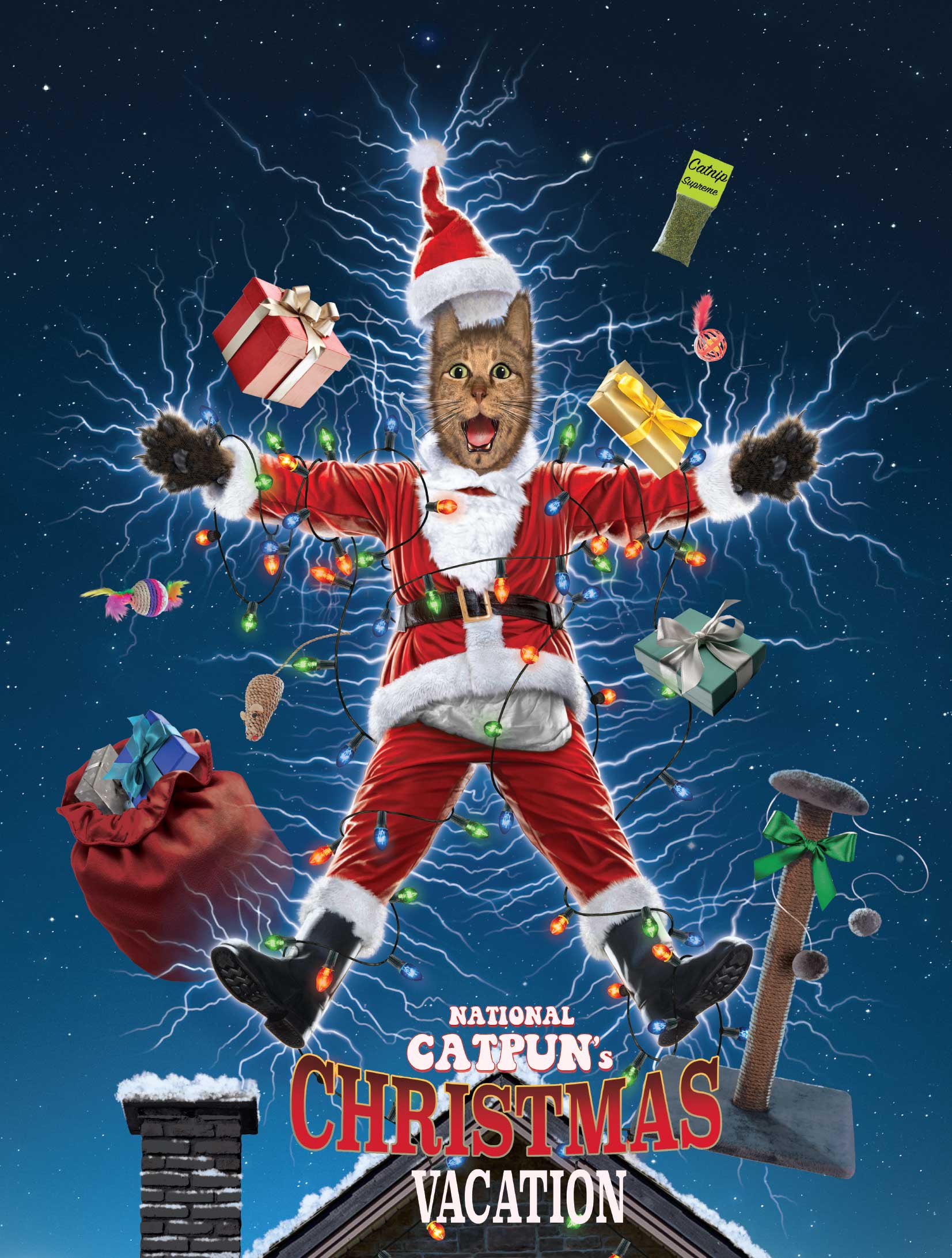 NATIONAL CATPUN'S CHRISTMAS VACATION by VINCENT HIE, printed on denim jackets and other denim products: tote bags, throw pillows, table place mats, aprons