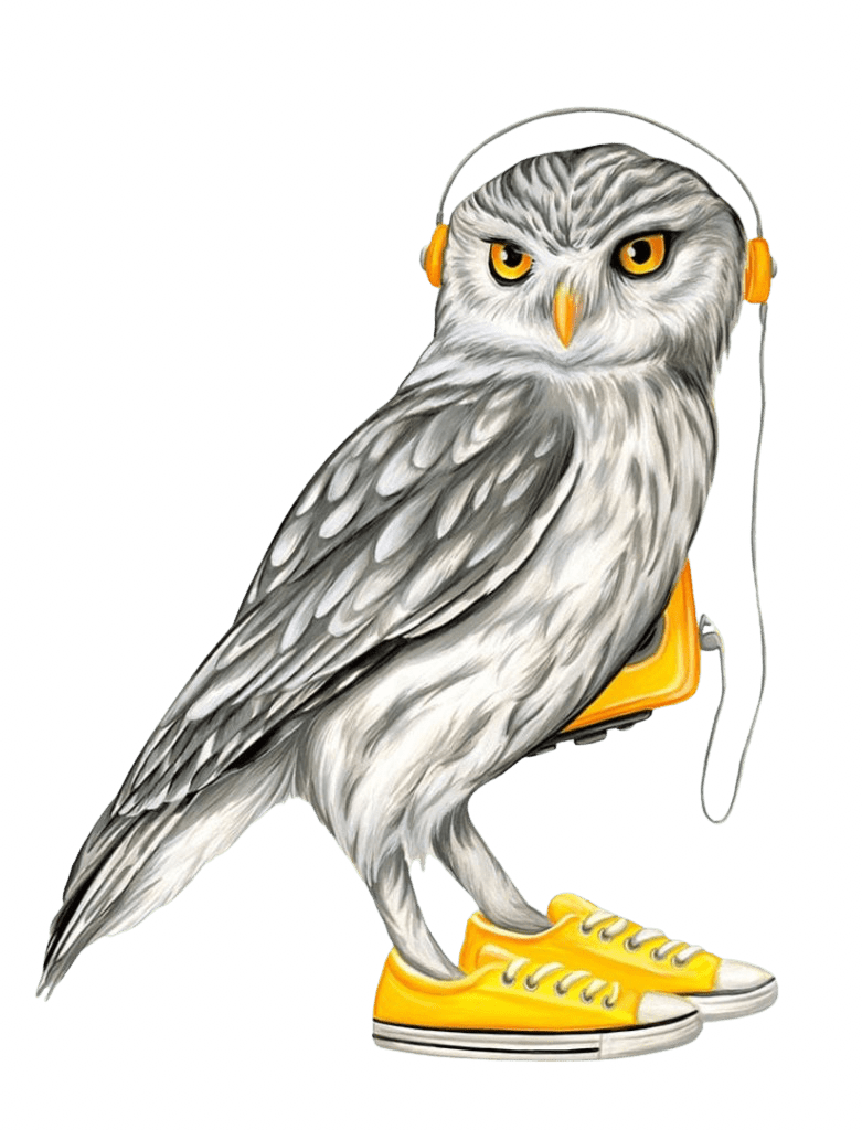 illustration of a gray-and-white owl standing upright while wearing bright yellow sneakers and orange headphones connected by a thin cord. the owl’s layered feathers are rendered in soft gray strokes with lighter highlights along the chest and wings, and its large golden eyes look forward with steady focus. the background is turquoise with scattered pastel squiggles and dash patterns. this artwork is titled “Owl Wearing Converse Shoes” and created by Amelia Legault