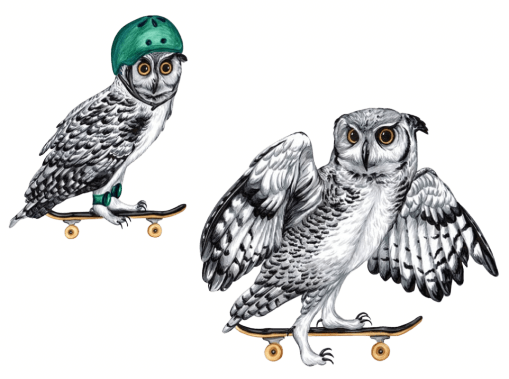 illustration of two gray-and-white owls riding skateboards, one positioned in the foreground with wings spread wide for balance and the other riding behind while wearing a green helmet. the owls have layered feather patterns, large golden eyes, and dark talons gripping wooden skateboards with small yellow wheels. this artwork is titled “Owls on Skateboards” and created by Amelia Legault