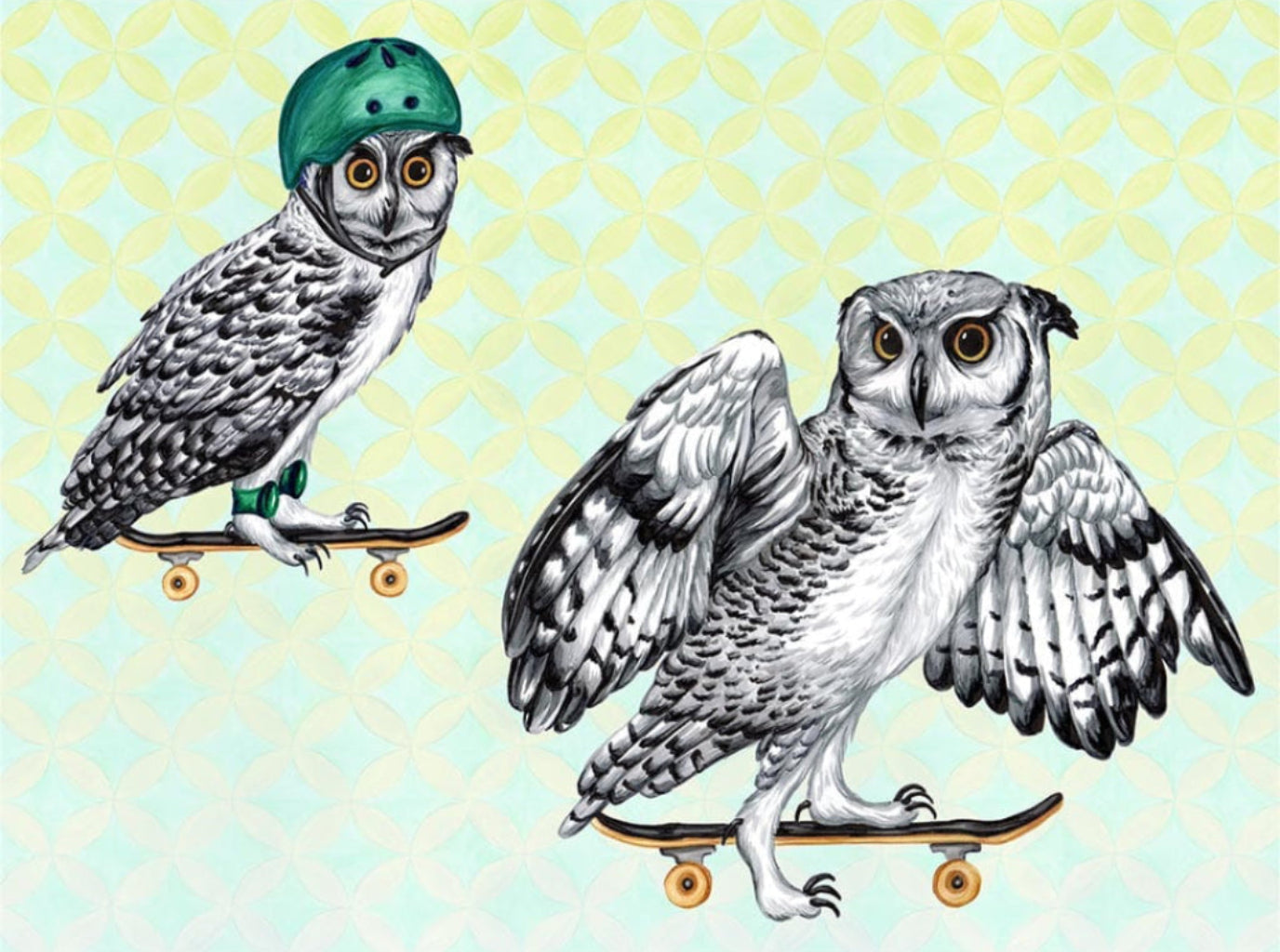 illustration of two gray-and-white owls riding skateboards, one positioned in the foreground with wings spread wide for balance and the other riding behind while wearing a green helmet. the owls have layered feather patterns, large golden eyes, and dark talons gripping wooden skateboards with small yellow wheels. the background is pale turquoise with repeating soft yellow geometric circle patterns. this artwork is titled “Owls on Skateboards” and created by Amelia Legault