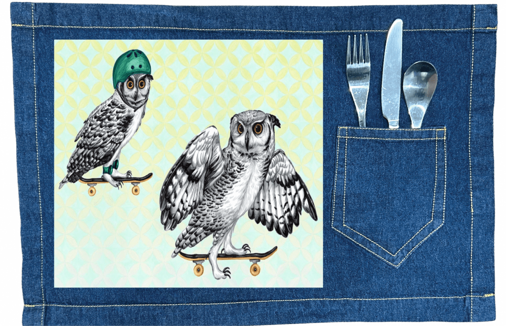 OWLS ON SKATEBOARDS with background by Amélie Legault custom denim jacket by DenimINK