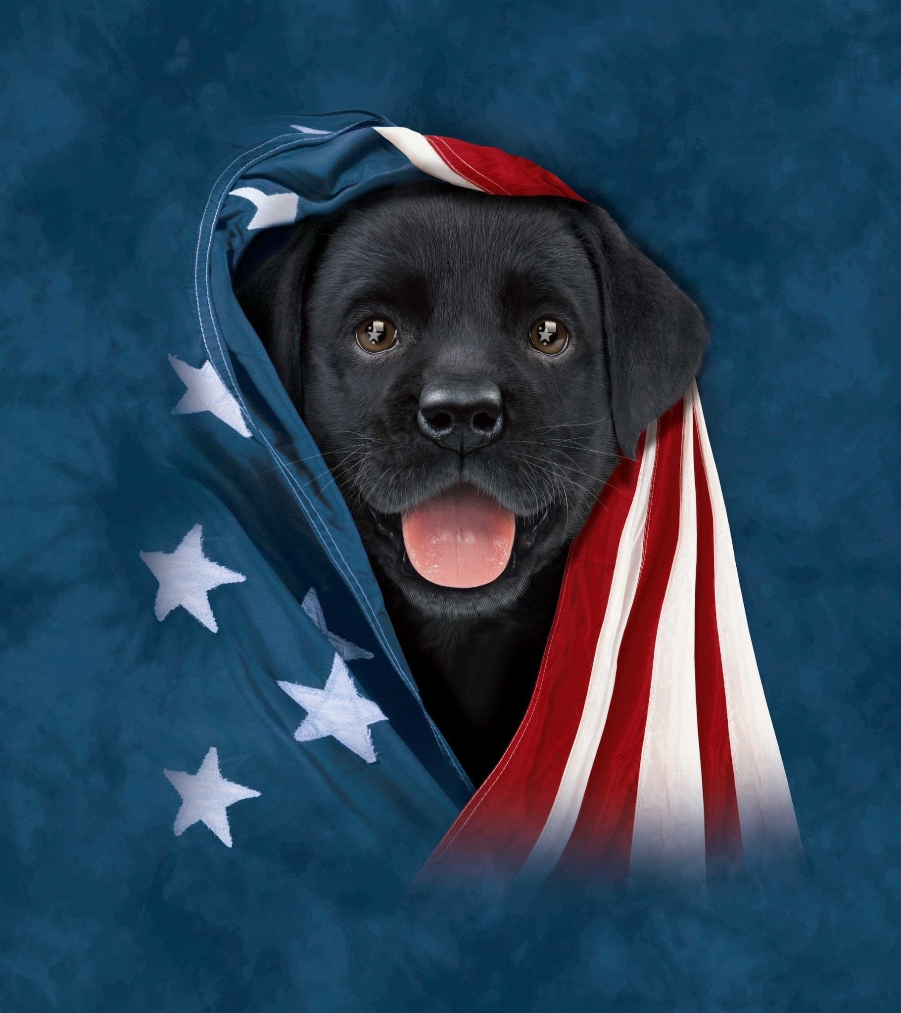 PATRIOTIC BLACK LAB PUPPY by VINCENT HIE, printed on denim jackets and other denim products: tote bags, throw pillows, table place mats, aprons