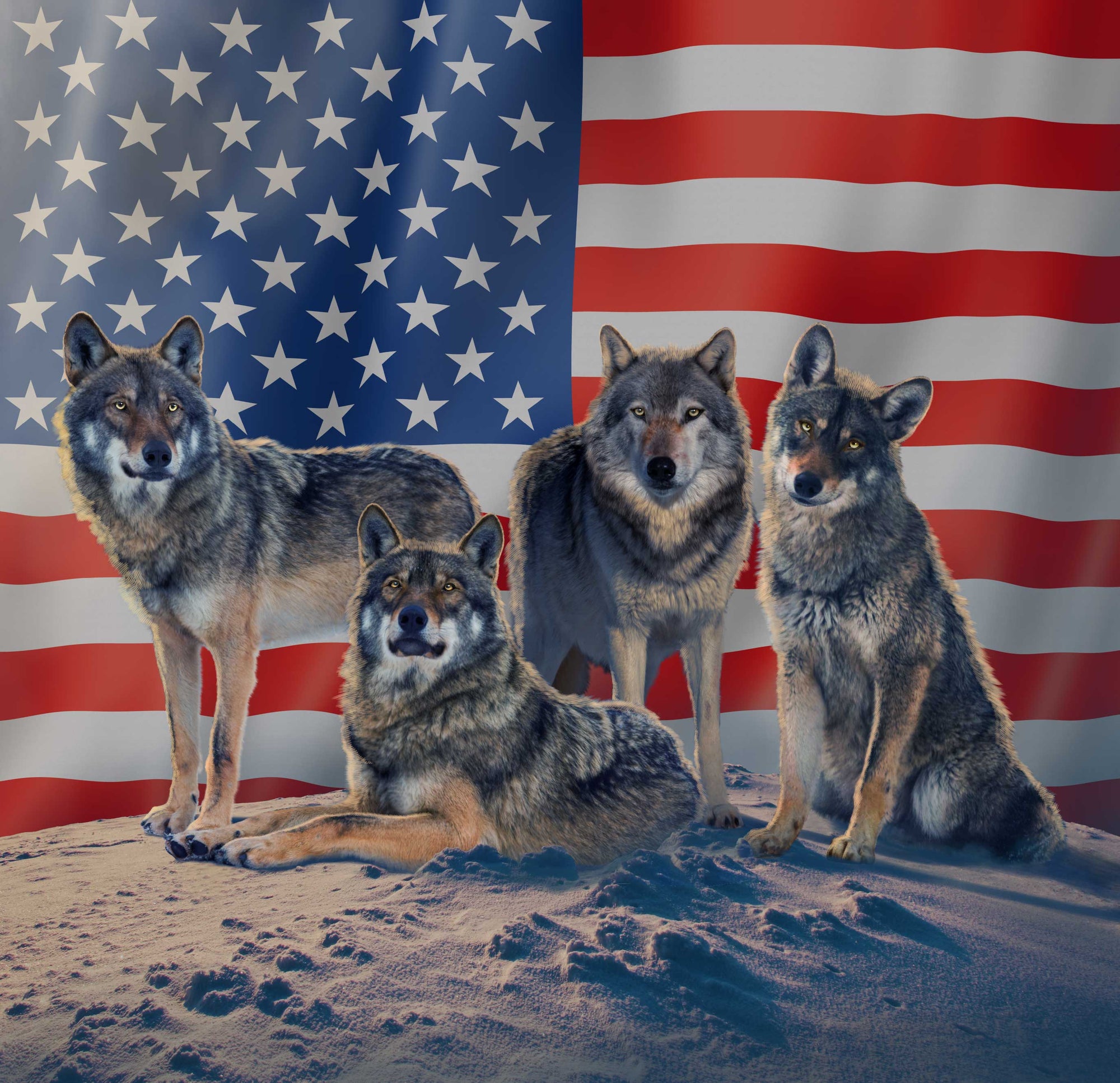 PATRIOTIC FOUR by VINCENT HIE, printed on denim jackets and other denim products: tote bags, throw pillows, table place mats, aprons