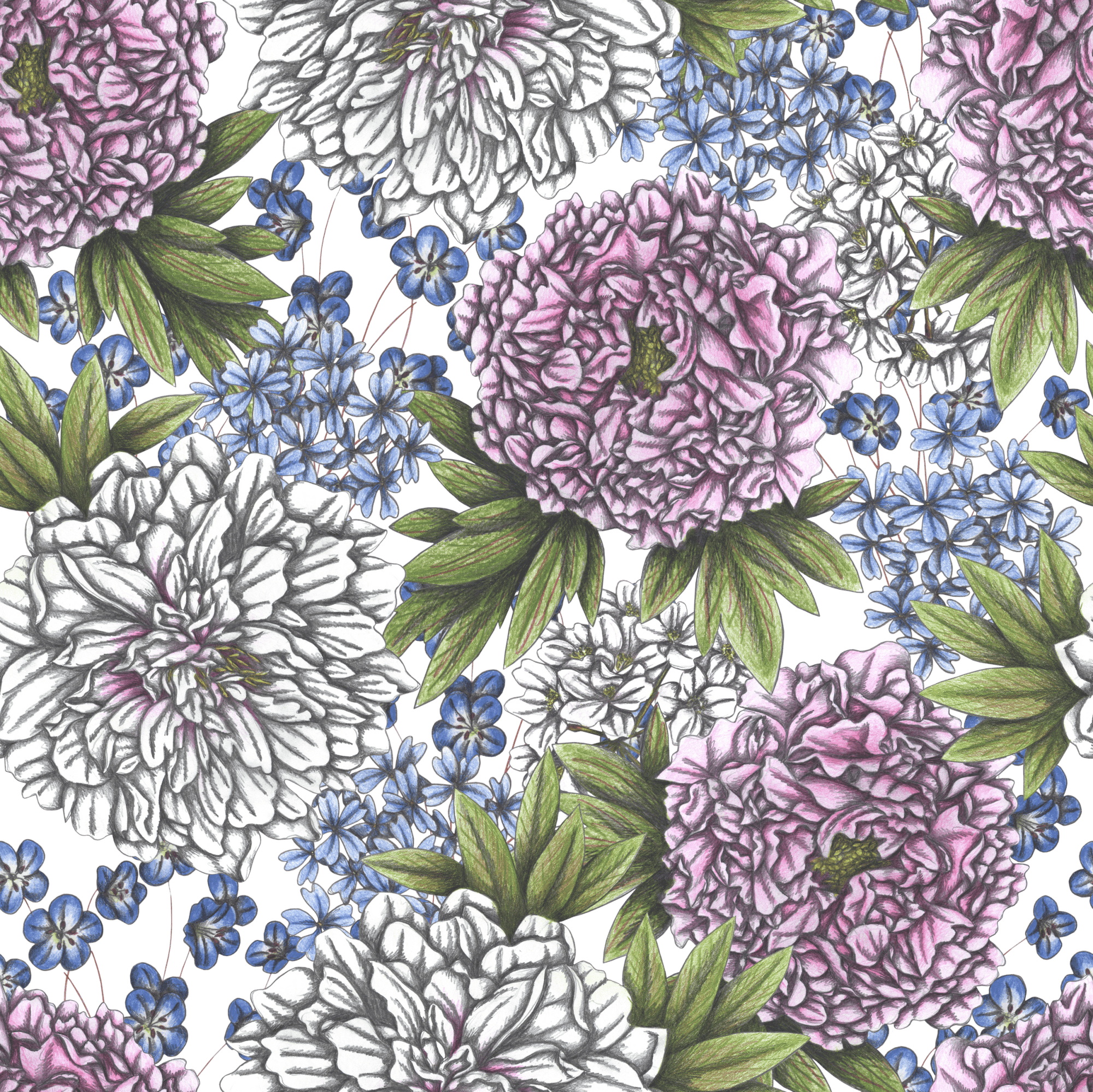 illustration of a dense botanical collage filled with blooming peonies in soft lavender, pale pink, &amp; ivory, surrounded by clusters of delicate blue wildflowers and long sage-green leaves. the pencil texture gives the scene a layered, natural softness against a deep background, evoking a fragrant garden in midsummer. this artwork is titled “Peonies” and created by Cecilia Battaini, printed on denim products by DenimINK.