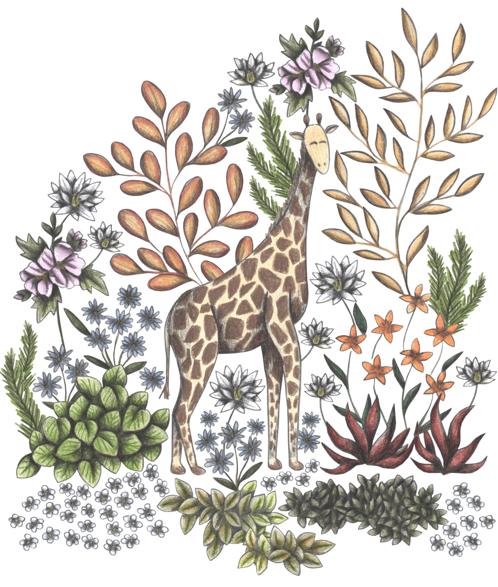 SAFARI GIRAFFE by CECILIA BATTAINI, printed on denim jackets and other denim products: tote bags, throw pillows, table place mats, aprons