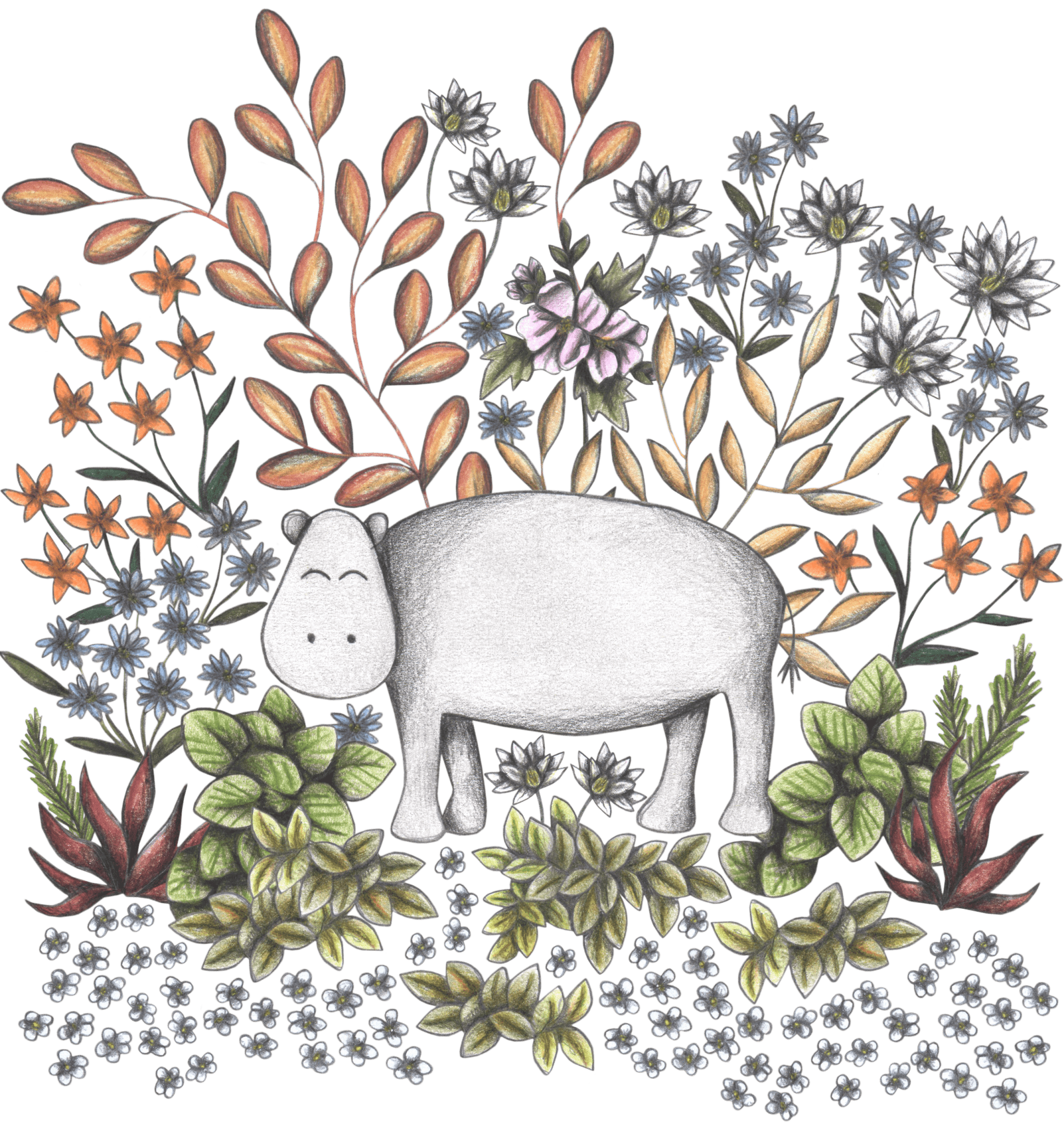 SAFARI HIPPO by CECILIA BATTAINI, printed on denim jackets and other denim products: tote bags, throw pillows, table place mats, aprons