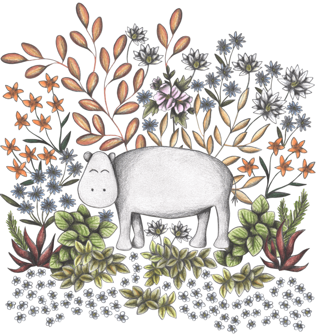 illustration of a whimsical white hippopotamus standing peacefully in a dense desert garden of illustrated flora. soft pencil shading defines the hippo’s round form, while clusters of sage green, coral red, and pale violet plants surround it. cream blossoms, warm brown stalks, star-shaped orange flowers, & scattered leafy succulents fill the scene. the artwork conveys a quiet, dreamlike moment in a floral oasis. this artwork is titled “Safari Hippo” and created by Cecilia Battaini, printed on denim products