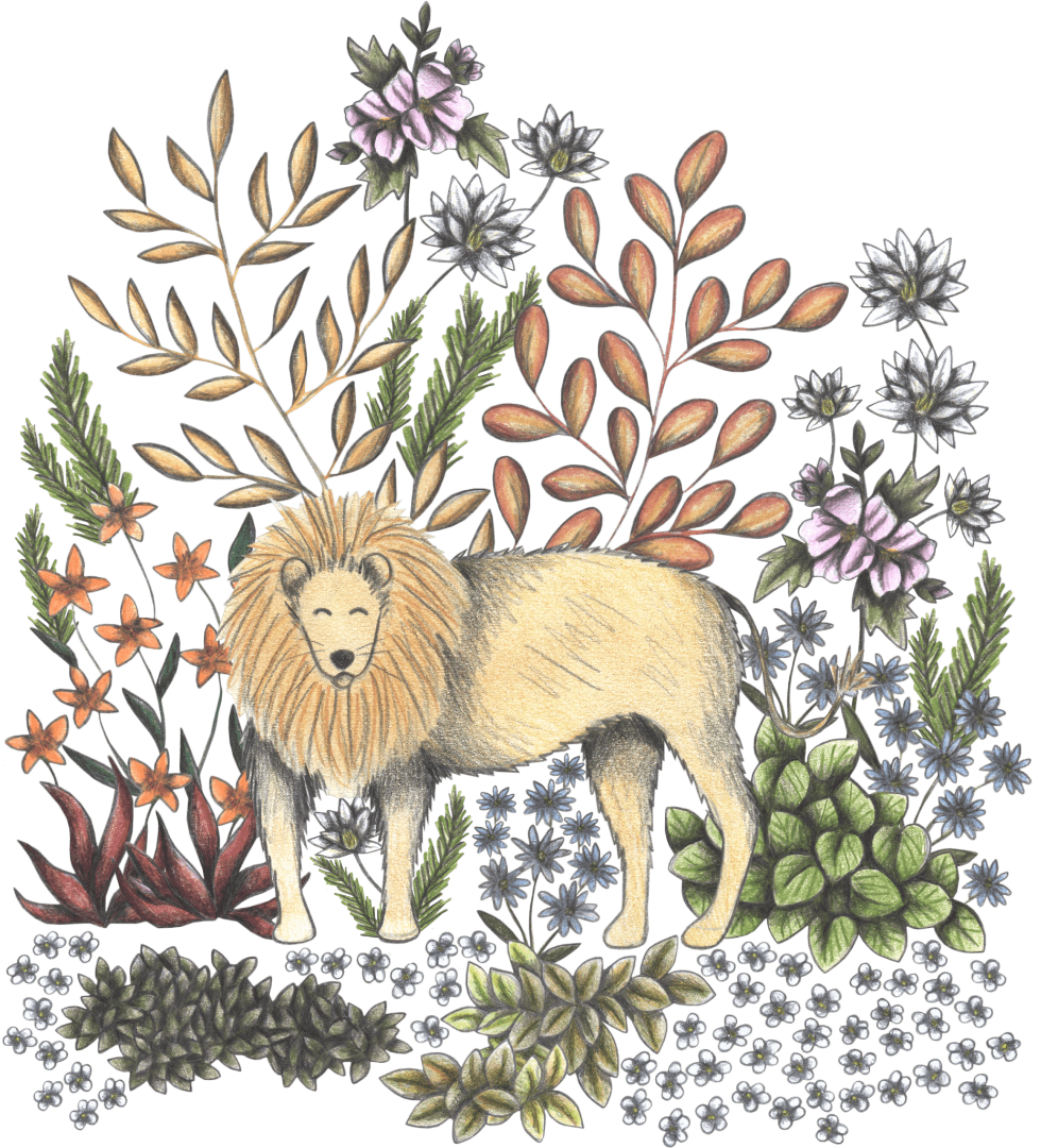 illustration of a gentle, golden-maned lion standing peacefully among layers of soft, botanical foliage. the lion's fur is rendered in pale ochre & charcoal pencil strokes, with a thick, rounded mane encircling its calm face. it's surrounded by warm autumn-toned leaves, dusty red succulents, soft lavender & white blossoms, and scattered wildflower clusters. cool greens & earthy textures blend into a magical, storybook-style jungle scene. this artwork is titled “Safari Lion” and created by Cecilia Battaini, 