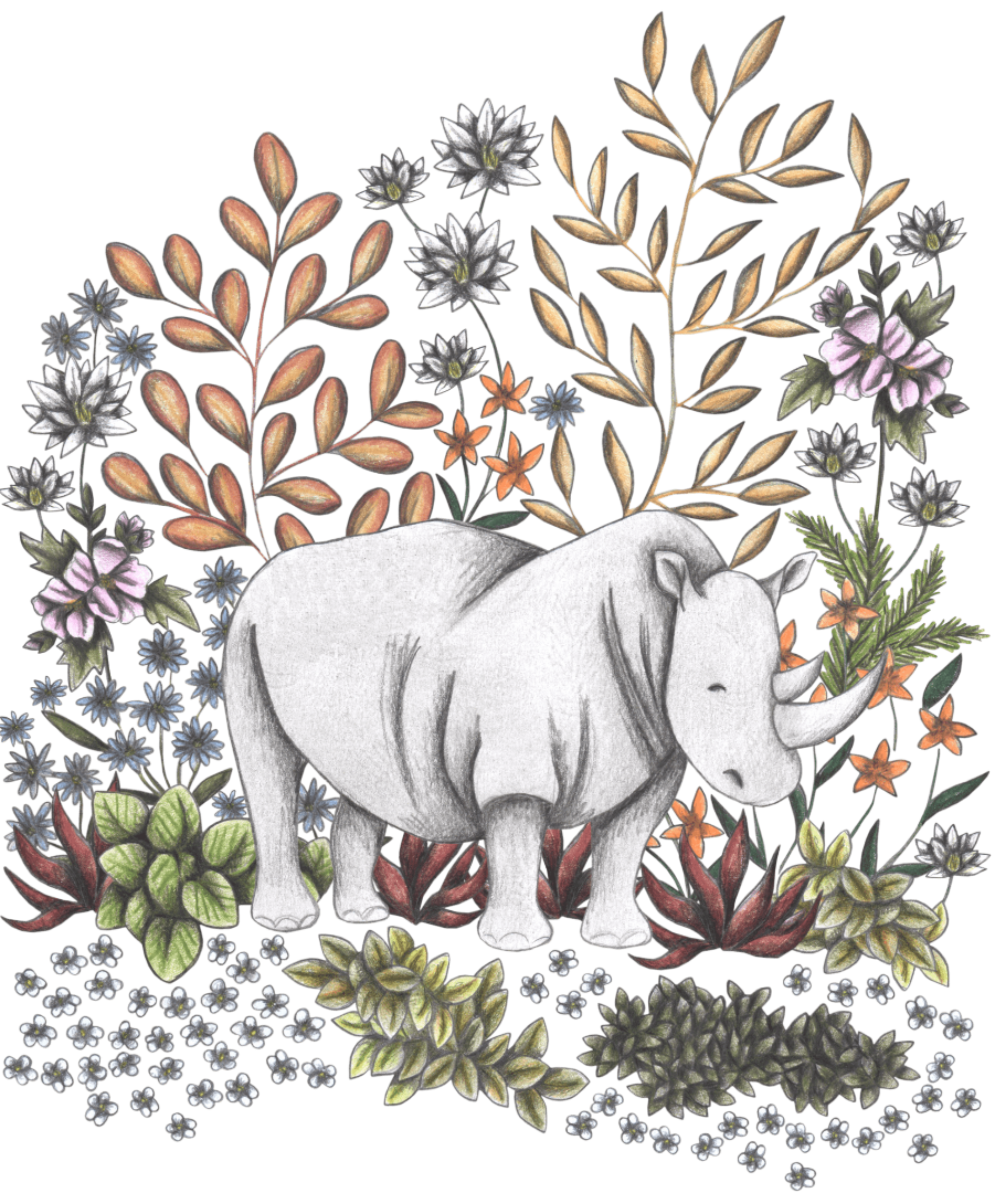 illustration of a peaceful white rhino standing amidst a dense composition of desert plants, succulents, and soft pencil-shaded wildflowers. warm golden leaves and rust-red aloe frame the rhino’s back, while pale lavender and white blossoms scatter across the ground. the foliage blends desert textures with storybook delicacy, rendered in soft charcoal lines and muted, natural tones. this artwork is titled “Safari Rhino” and created by Cecilia Battaini, printed on denim products by DenimINK.