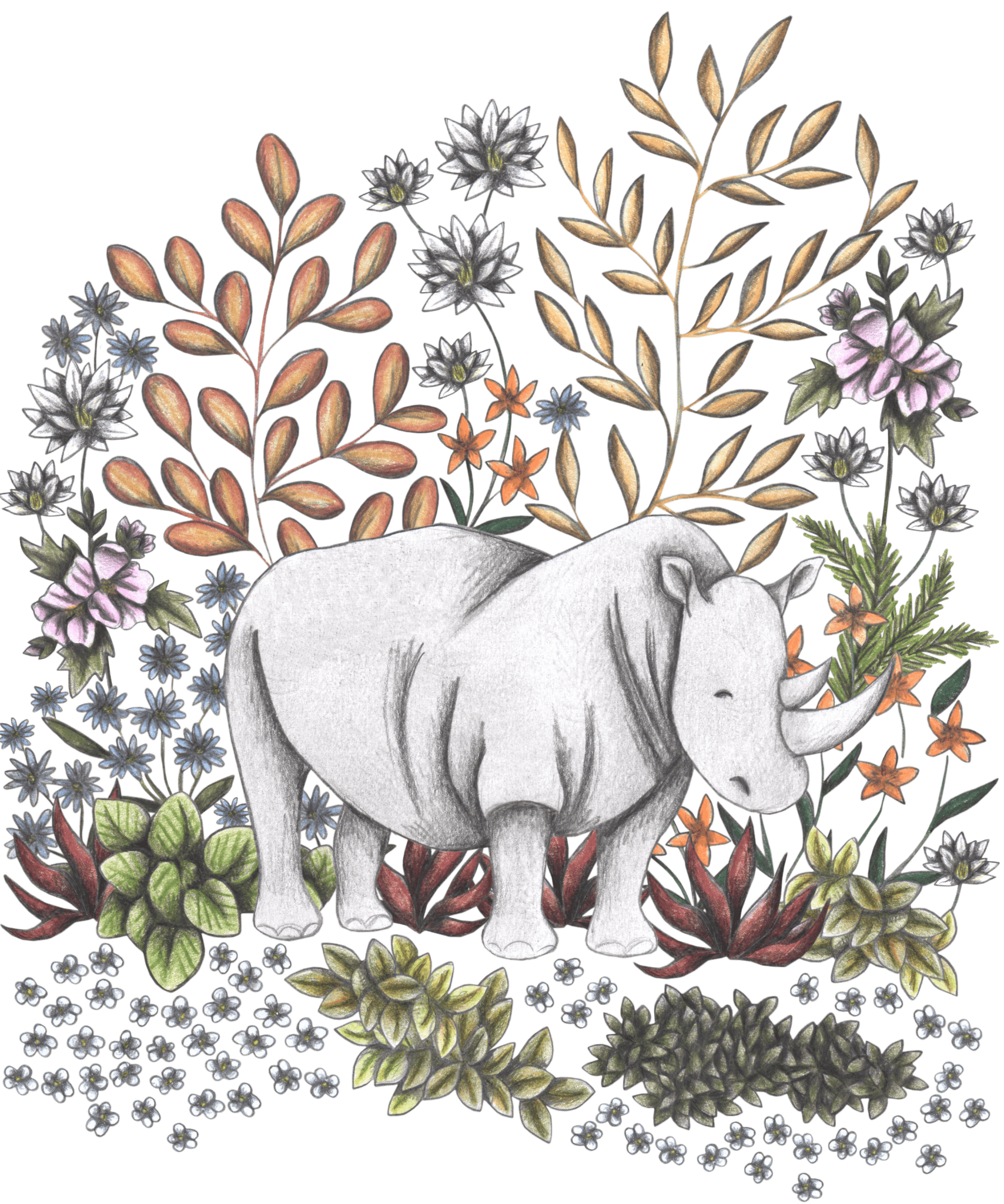 SAFARI RHINO by CECILIA BATTAINI, printed on denim jackets and other denim products: tote bags, throw pillows, table place mats, aprons