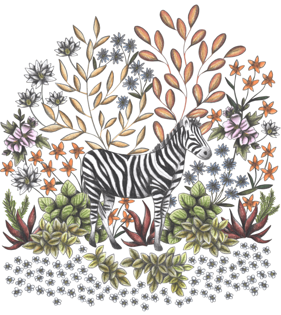 SAFARI ZEBRA by CECILIA BATTAINI, printed on denim jackets and other denim products: tote bags, throw pillows, table place mats, aprons