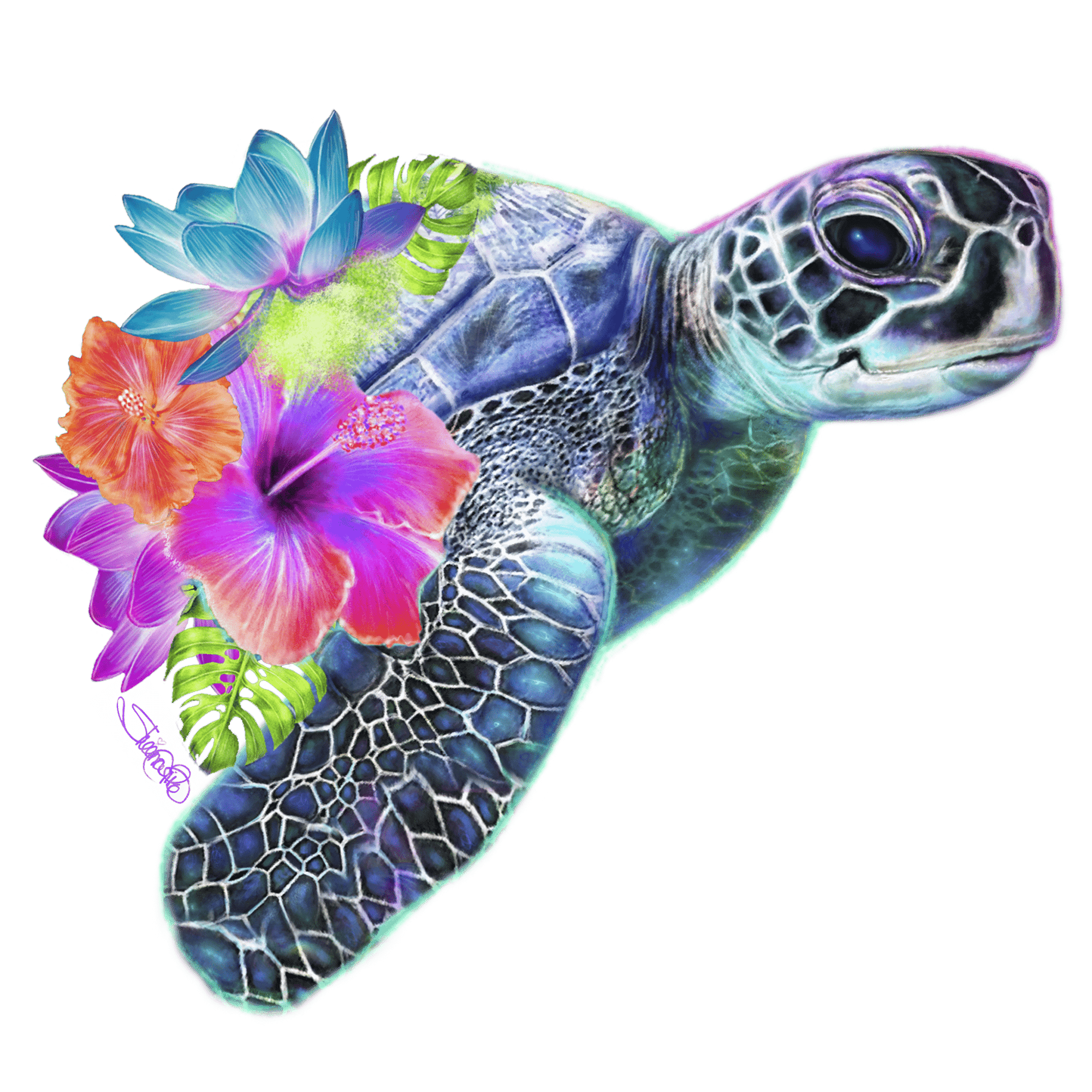 SEA TURTLE by SHEENA PIKE, printed on denim jackets and other denim products: tote bags, throw pillows, table place mats, aprons