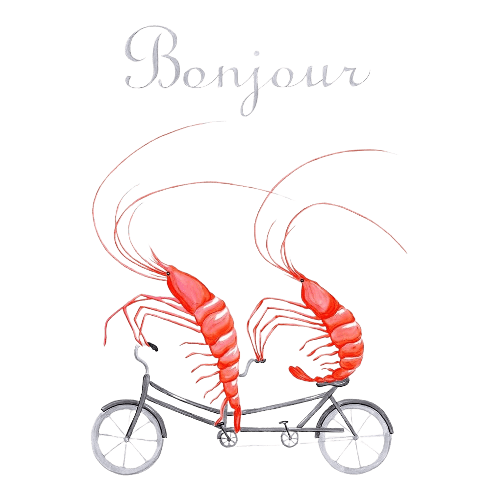 illustration of two bright pink shrimp riding together on a gray tandem bicycle, their long curved antennae sweeping upward and outward. the shrimp bodies are segmented with layered coral and rose brushstrokes, and their small black eyes face forward. thin gray wheels and pedals support the bicycle beneath them. the word “Bonjour” appears hand-lettered above on a white background. this artwork is titled “Shrimp Riding a Bicycle” and created by Amélie Legault 