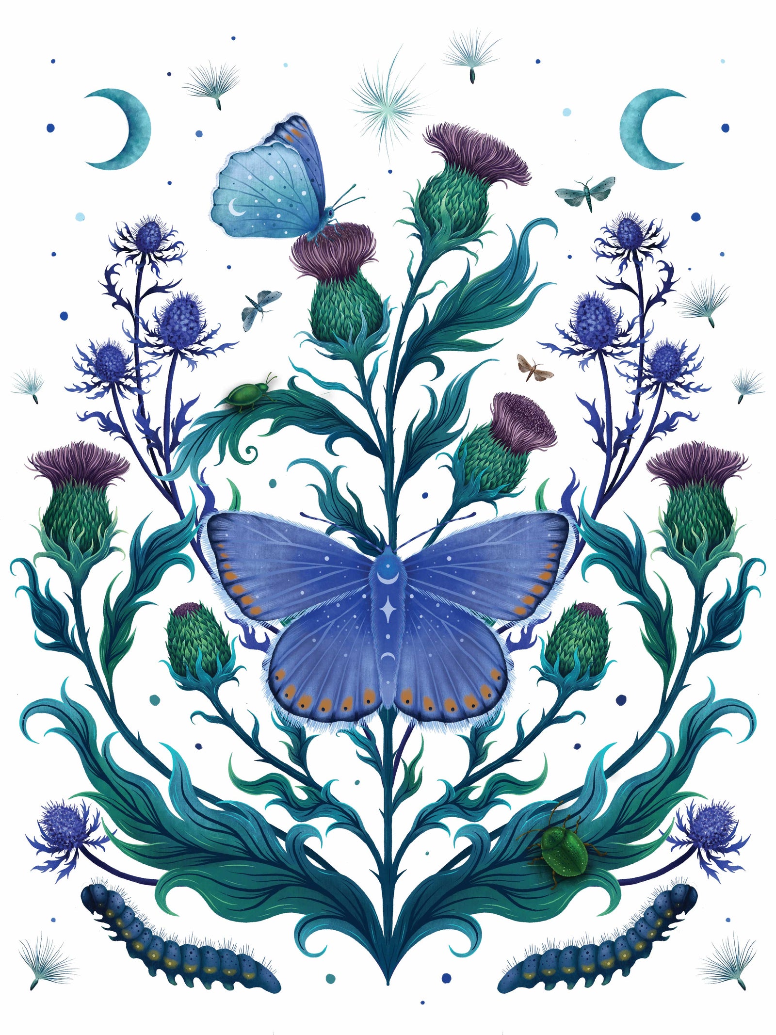 THISTLE HOME by EPISODIC DRAWING, digitally printed on DENIM products: throw pillows, aprons, table place mats, and hand-made Unisex Denim Jackets in 3 color choices