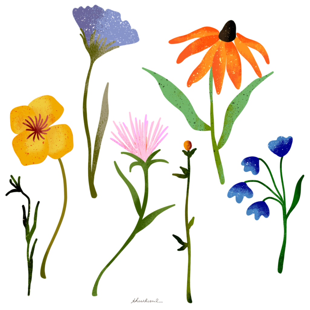 illustration of Six stylized wildflowers arranged vertically across open space, each with a slender green stem and distinct bloom. From left to right: a small yellow flower with rounded petals and a dark red center; a tall pale blue bell-shaped flower with speckled texture; a soft pink spiky bloom with thin radiating petals; an orange coneflower with drooping petals and a dark rounded center; a thin green stem with a small unopened bud; and a cluster of small blue bell-shaped flowers. by thearticsoul