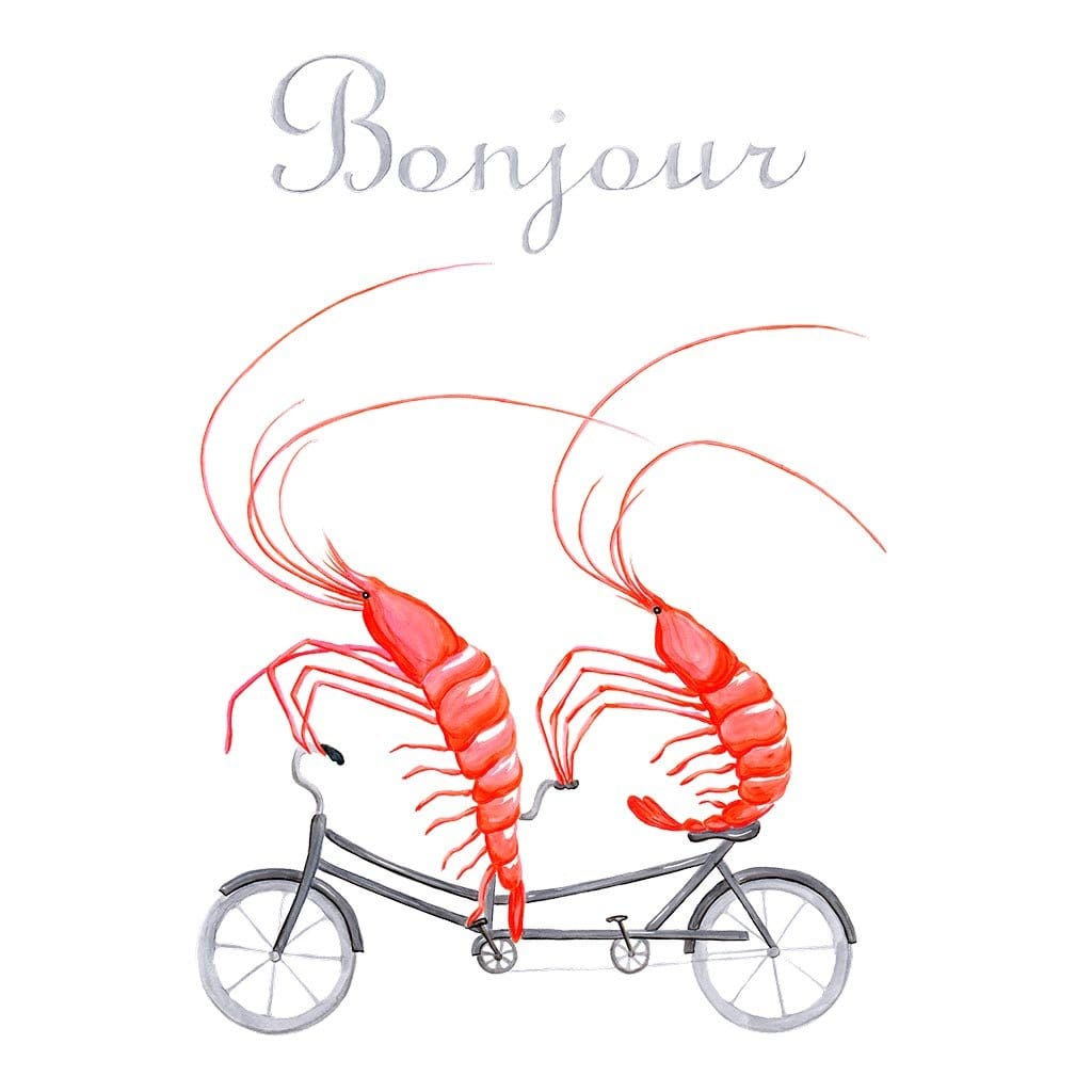 illustration of two bright pink shrimp riding together on a gray tandem bicycle, their long curved antennae sweeping upward and outward. the shrimp bodies are segmented with layered coral and rose brushstrokes, and their small black eyes face forward. thin gray wheels and pedals support the bicycle beneath them. the word “Bonjour” appears hand-lettered above on a white background. this artwork is titled “Shrimp Riding a Bicycle” and created by Amélie Legault 
